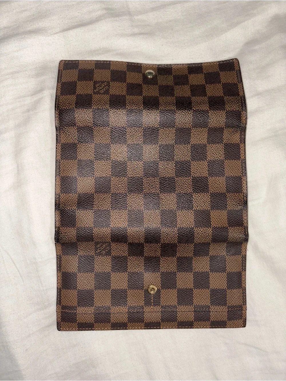 Louis Vuitton classic louis